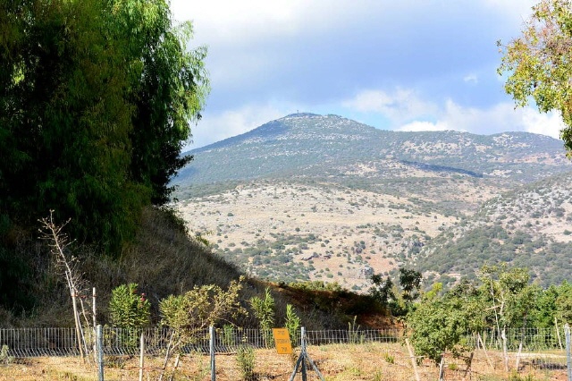 Tel Dan - Nationalpark