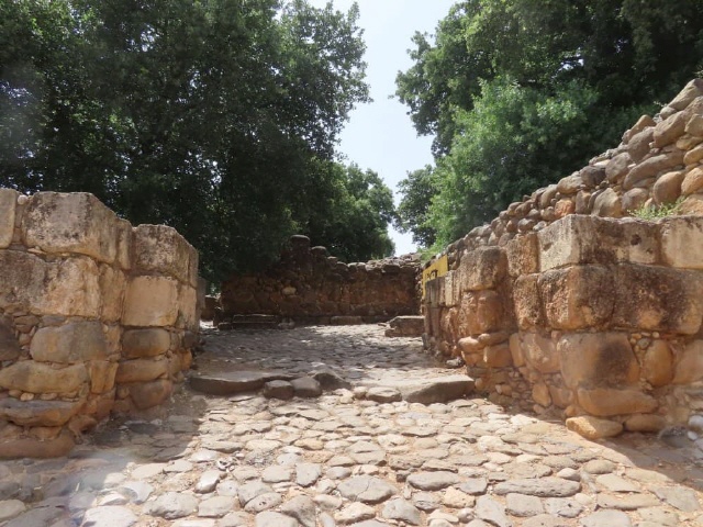 Tel Dan - Nationalpark