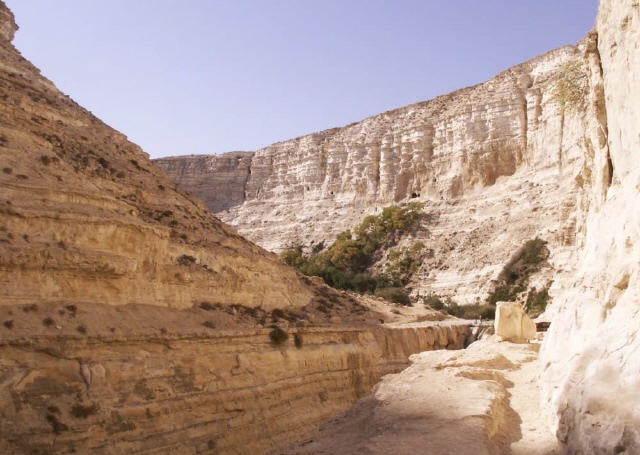 Nationalpark Ein Avdat - Negev
