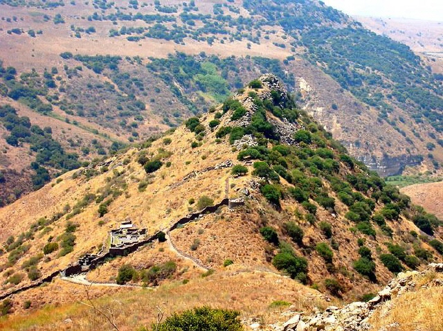 Gamla - Golanhöhen