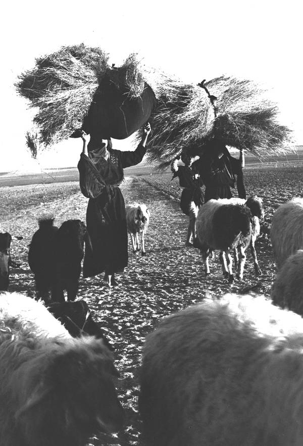 Gazastreifen - Beit Hanun