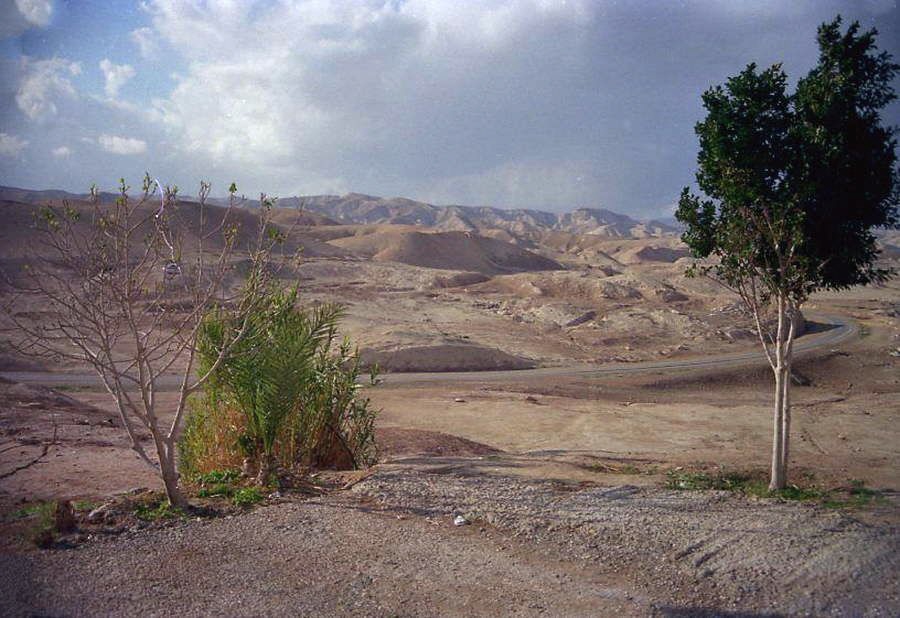 Wüste Zin - Negev